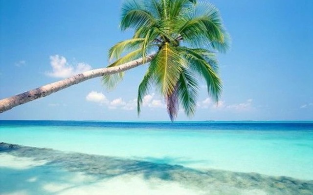 Coral Village - Apartments Caribbean Cocktails