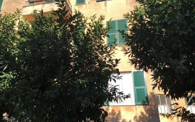 House Nervi