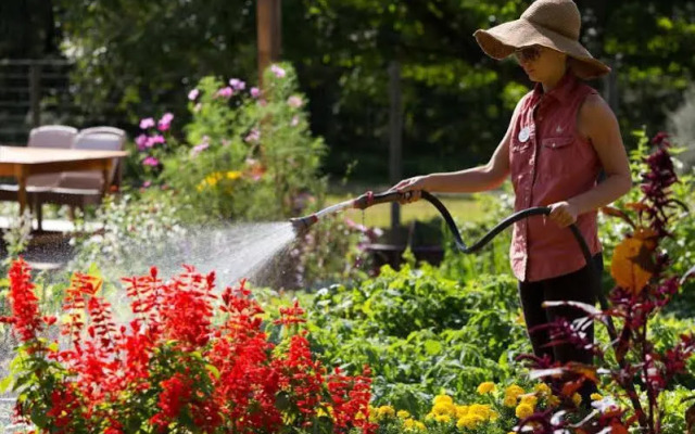 The Lodge at Woodloch