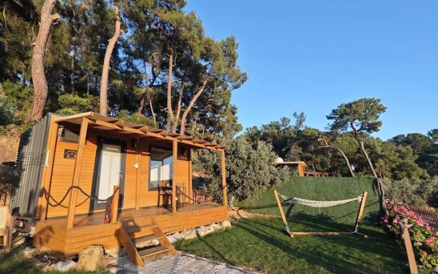 Ti̇ny Mi̇ni̇ House