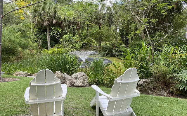 The Mermaid and the Sea Turtle