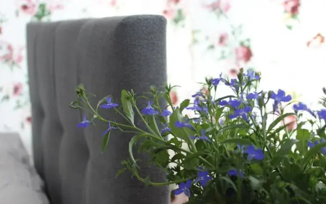 Sisters Lodge Hostel