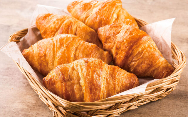 Quality Inn & Suites near Downtown Mesa