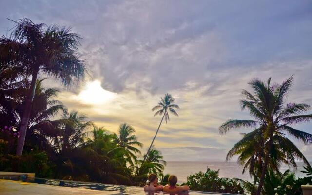 Taveuni Palms