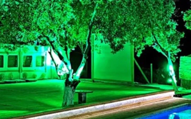 Hacimemis Arena