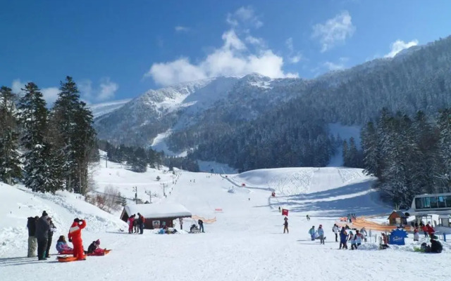 Les Feiches et Marguerites