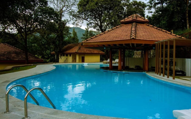 The Tamara Coorg