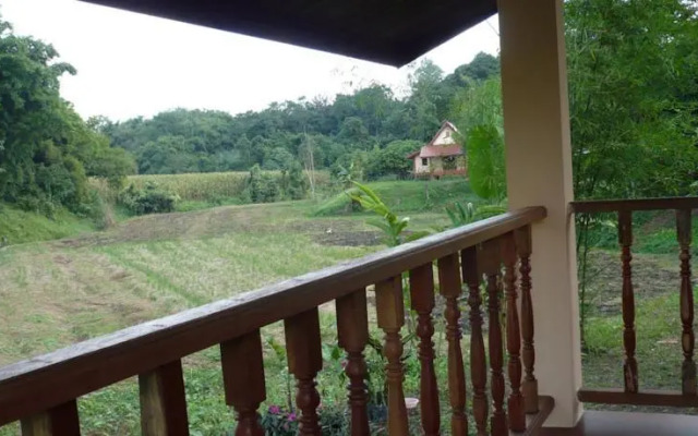 Suancha Tea Garden