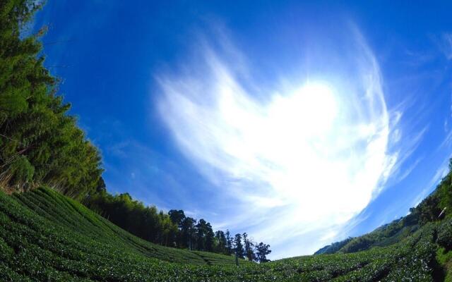Sunrise235