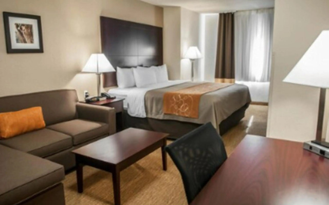 Comfort Suites Albuquerque/North Journal Center
