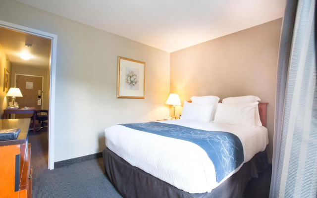 Nomad Hotel and Suites
