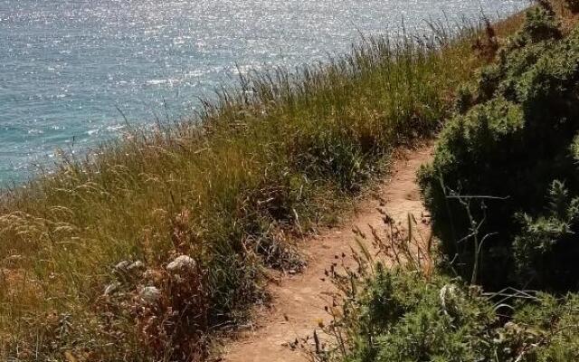 Les terrasses du Château