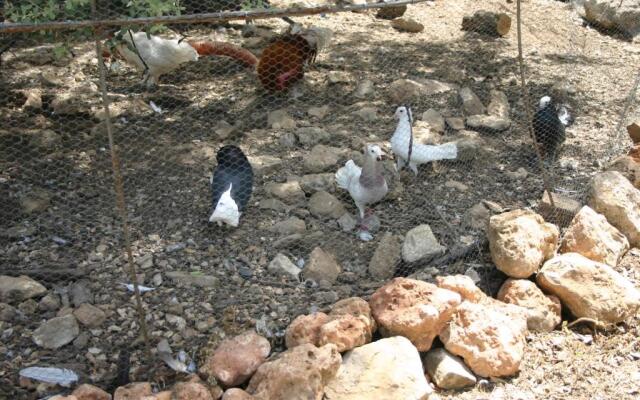 Casas Rurales La Loma Del Carrascal