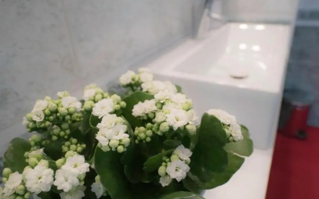 Delux apartma Jana