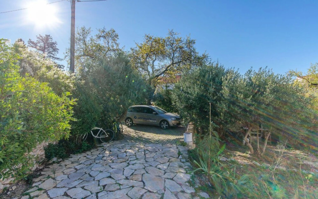 House Green Oases in Center