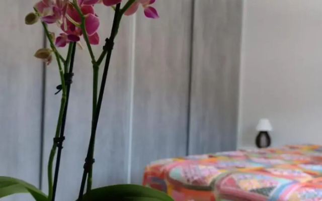 Casa de praia Caraguatatuba Massaguaçú