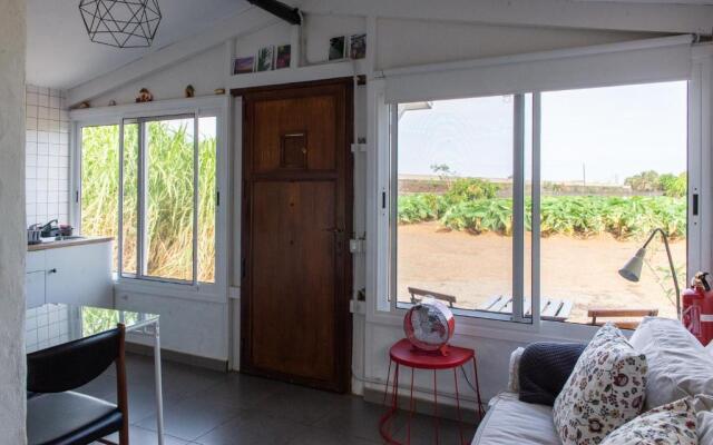Beautiful Coastal House On A Tranquil Organic Farm