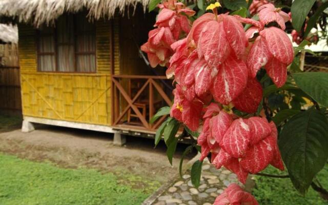 YARINA Eco Lodge