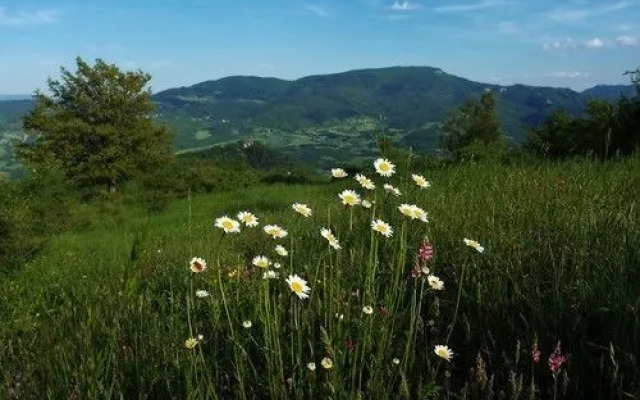 Agriturismo Terrazza sul Parco