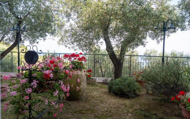 B&B "Tra Gli Ulivi"