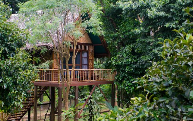 Our Jungle Camp - Eco Resort