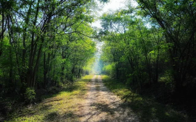 Devigiri Home Stay and Resort