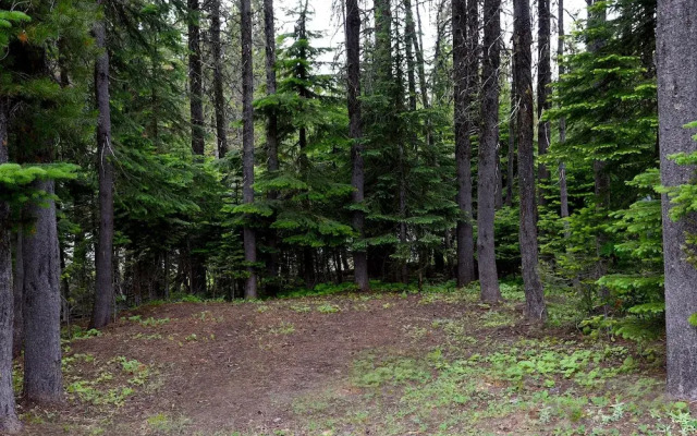 Tamarack 3 Bears Inn