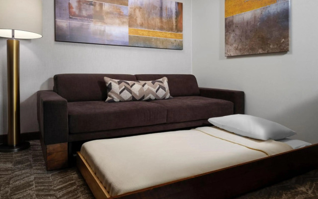 Springhill Suites by Marriott Pittsburgh Mt. Lebanon