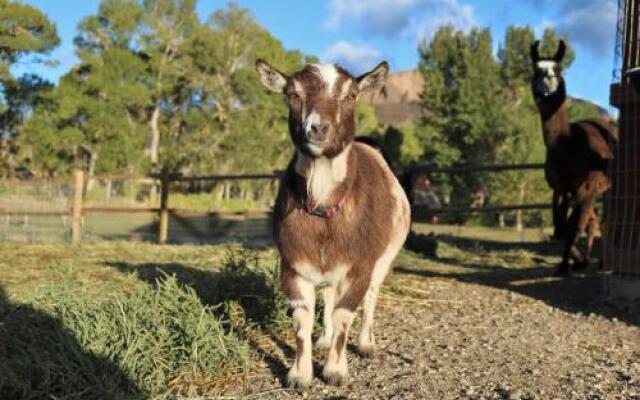 Wheels of Wonderment Guest House