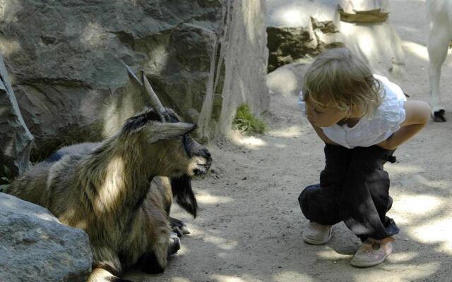 Appartement Les Sables-d'Olonne, 3 pièces, 6 personnes - FR-1-92-582