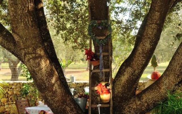 Alba Bed & Breakfast