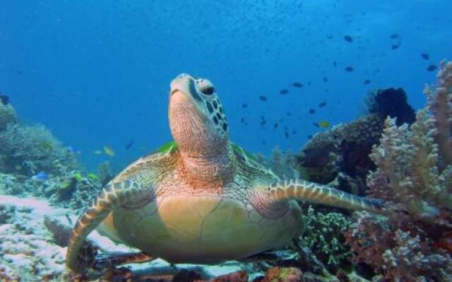 Dive Point Alcoy