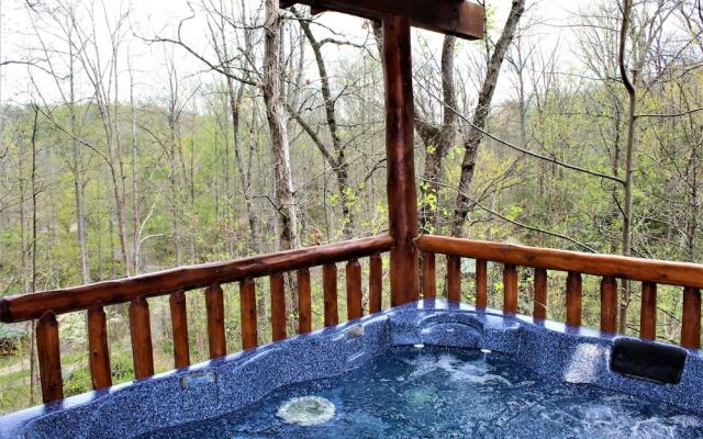 Mountain Joy 1 Bedroom Cabin