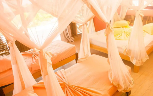 Eden de la Tsiribihina