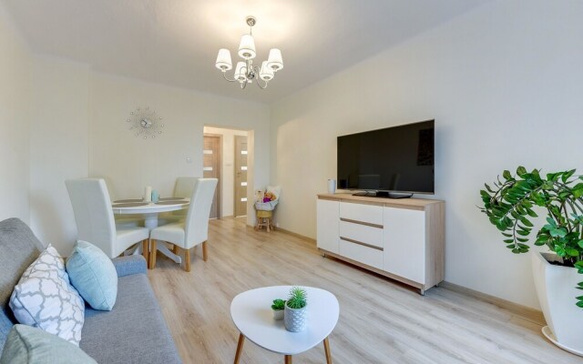 Old Town Gardens Modern