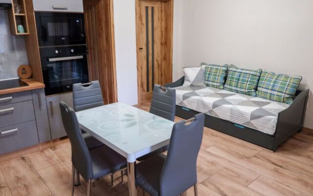 Apartment  Harrachov