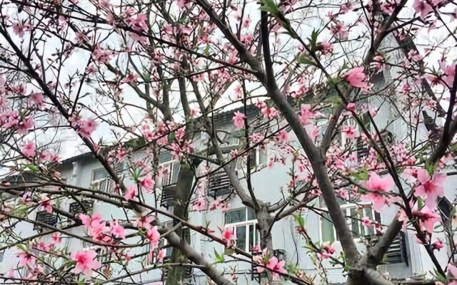Wuzhen Taoyuan Inn