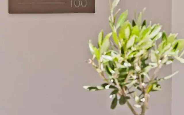 Olia Boutique Apartments