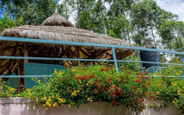 Mountain Hut Resorts