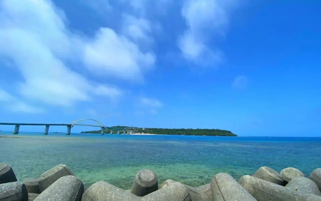 Papillon パピヨン