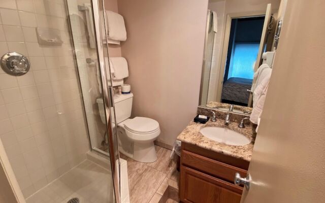 #310 Vail International