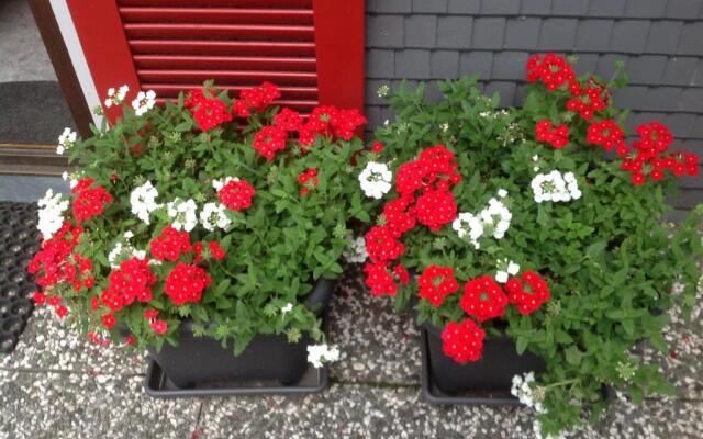 Ferienwohnung Pusteblume