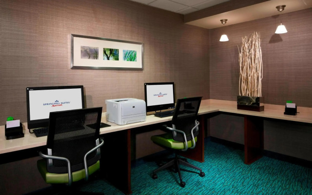 SpringHill Suites by Marriott Newark Liberty International