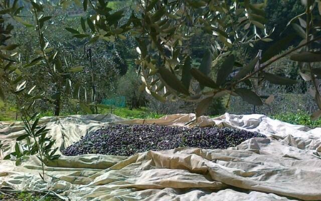 Agriturismo Terra Rossa