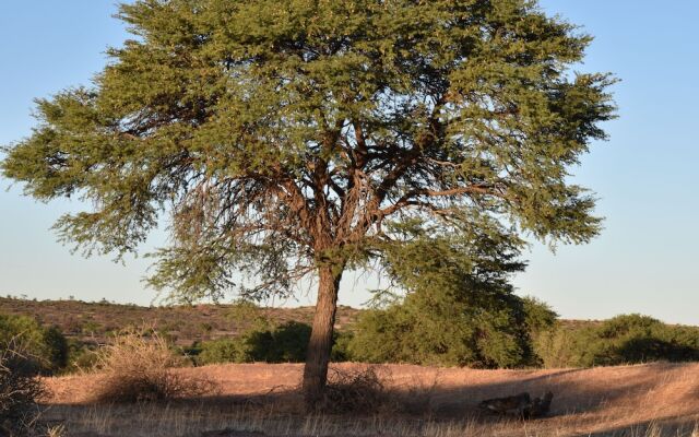 Kalahari Farmstall - Accommodation and Campground