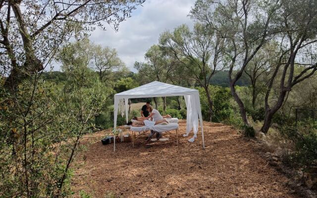 Treurer Olive Grove & Grand House - Adults Only