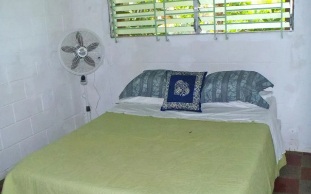 Hammock Plantation - Hostel