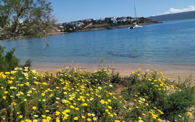 Beautiful Beach House At Sounio