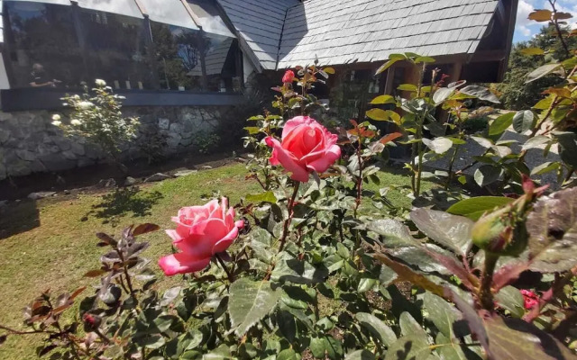 Hostería Las Nieves