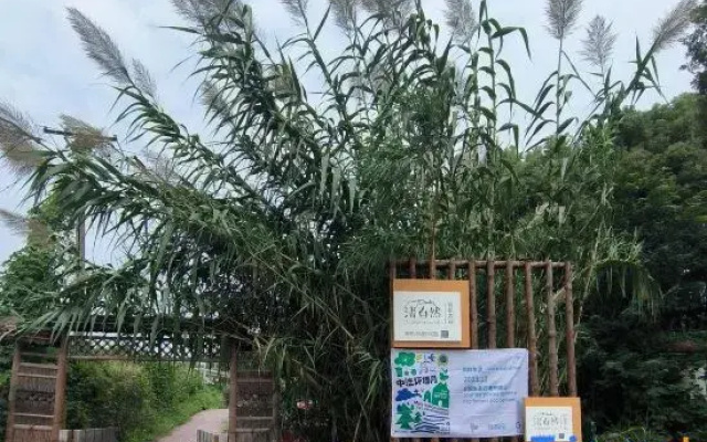Cleanature Organic Farm Resort